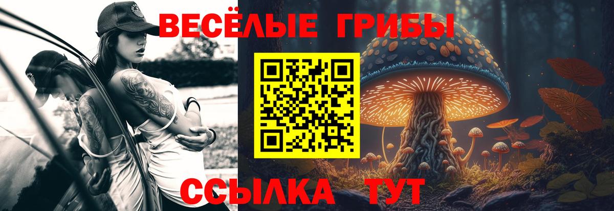 Галлюциногенные грибы Magic Shrooms Прохладный